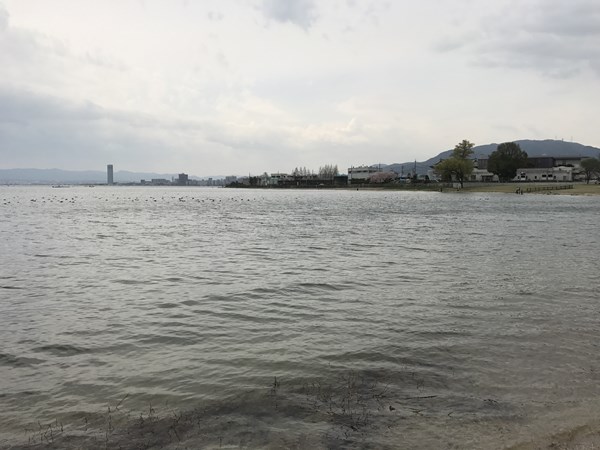 琵琶湖バス釣り