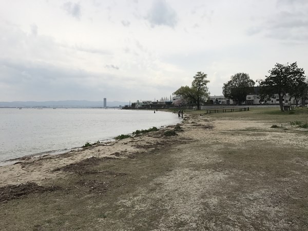 琵琶湖バス釣り