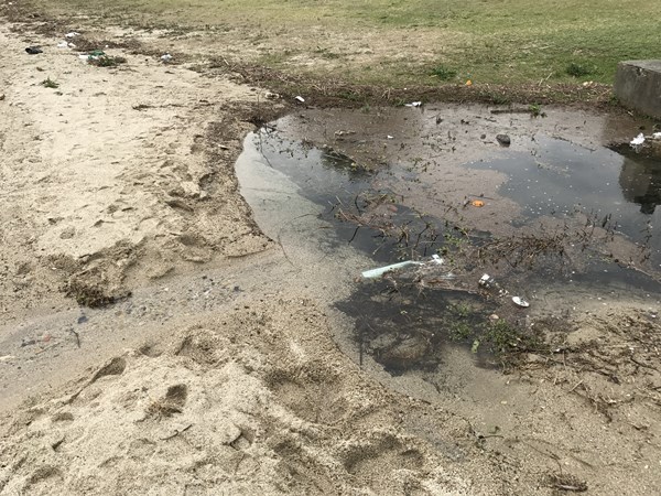 琵琶湖バス釣り