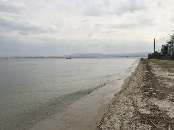 琵琶湖バス釣り