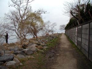 琵琶湖バス釣り