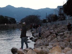 琵琶湖バス釣り