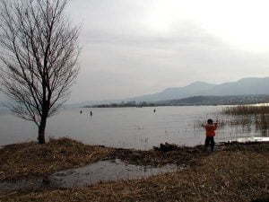 琵琶湖バス釣り