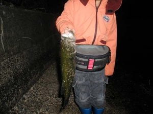 琵琶湖バス釣り