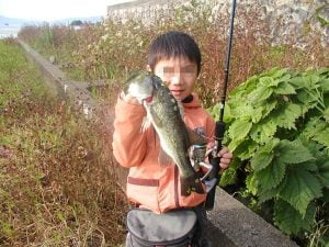 琵琶湖バス釣り