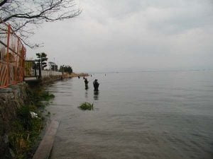 琵琶湖バス釣り