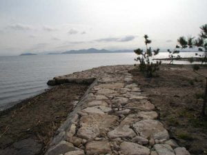 琵琶湖バス釣り