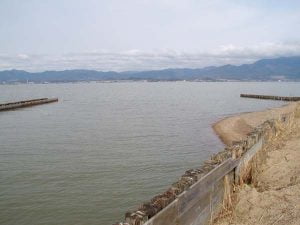 琵琶湖バス釣り