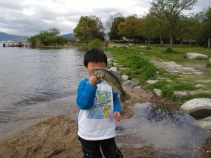 琵琶湖バス釣り