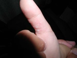 琵琶湖バス釣り