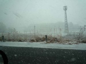 琵琶湖バス釣り