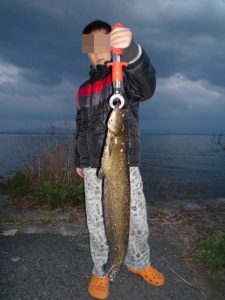 琵琶湖バス釣り