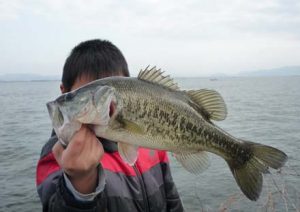 琵琶湖バス釣り