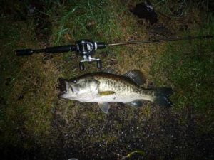 琵琶湖バス釣り