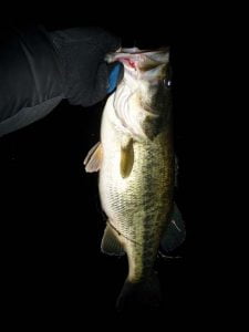 琵琶湖バス釣り