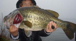琵琶湖バス釣りロクマル