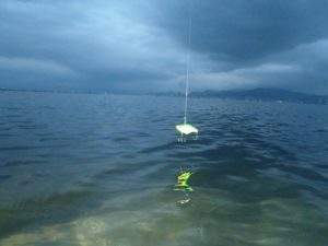 琵琶湖バス釣り