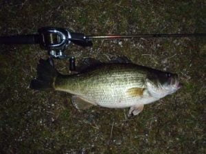 琵琶湖バス釣り