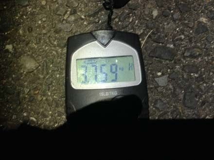 琵琶湖バス釣り