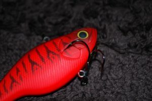 琵琶湖バス釣り