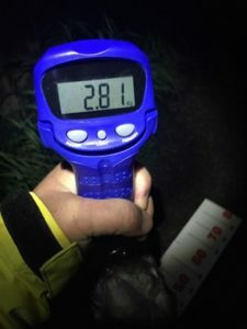 琵琶湖バス釣り