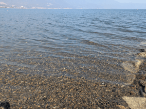 和邇川河口_バス釣り