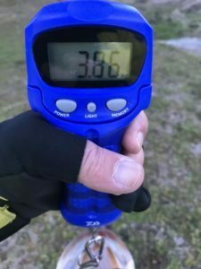 琵琶湖バス釣り