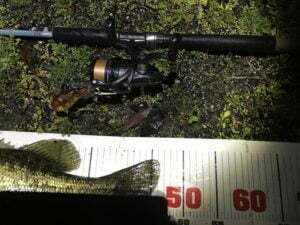 琵琶湖バス釣り