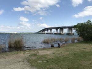 琵琶湖バス釣り