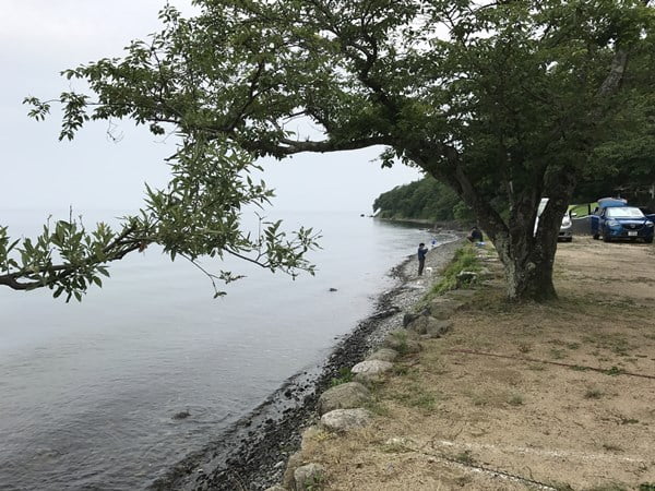 琵琶湖バス釣り