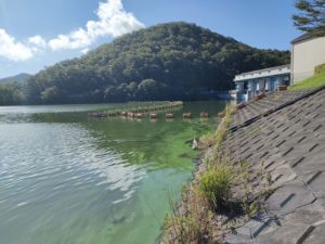 青野ダムバス釣りポイント