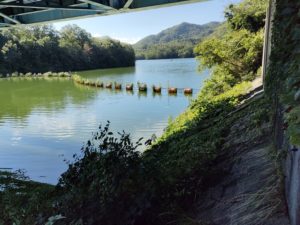 青野ダムバス釣りポイント