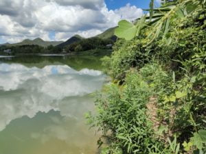 青野ダムバス釣りポイント