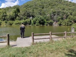 青野ダムバス釣りポイント