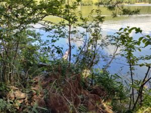 青野ダムバス釣りポイント