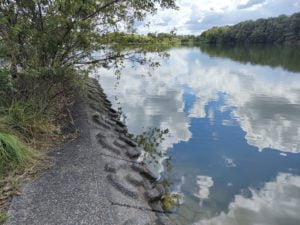 青野ダムバス釣りポイント
