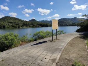 青野ダムバス釣りポイント