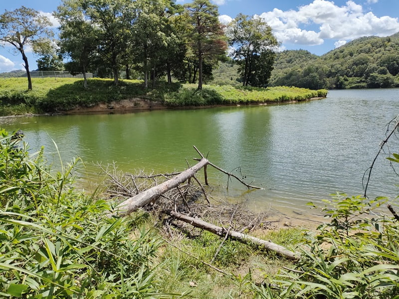 青野ダムバス釣りポイント
