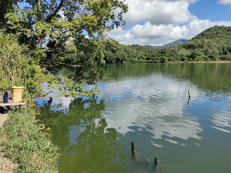 青野ダムバス釣りポイント