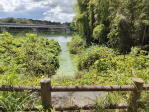 青野ダムバス釣りポイント