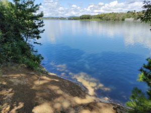 青野ダムバス釣りポイント