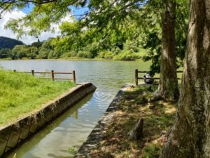 青野ダムバス釣りポイント