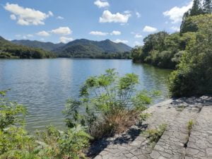 青野ダムバス釣りポイント