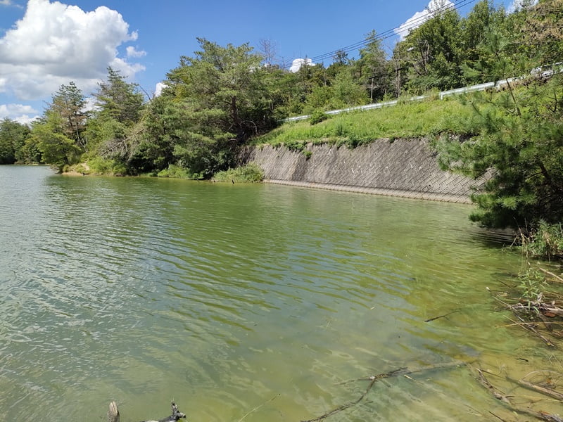 青野ダムバス釣りポイント
