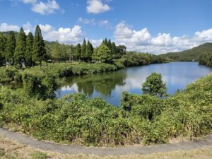 青野ダムバス釣りポイント