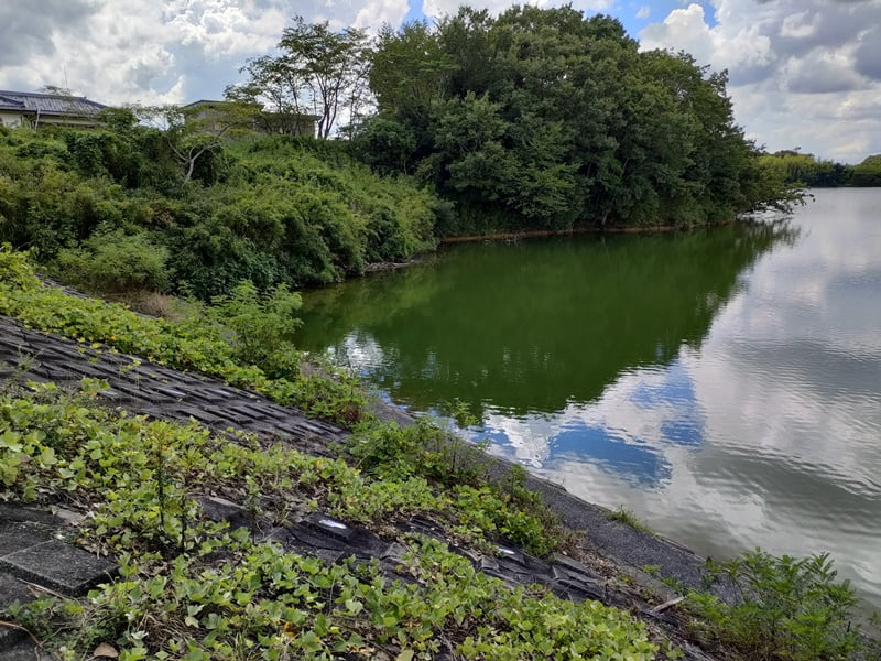 青野ダムバス釣りポイント
