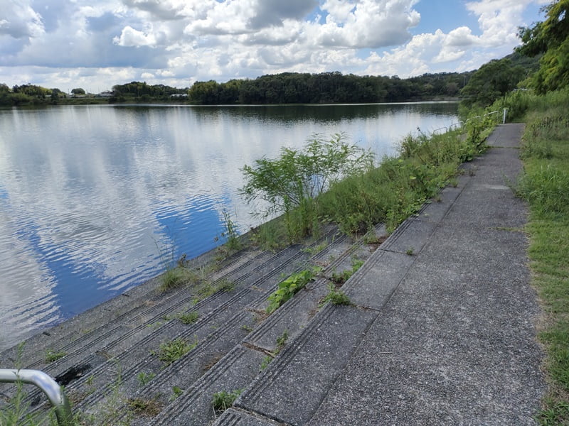 青野ダムバス釣りポイント