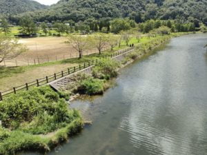 青野ダムバス釣りポイント