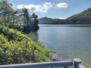 青野ダムバス釣りポイント