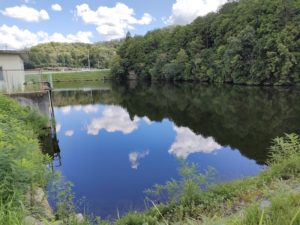青野ダムバス釣りポイント